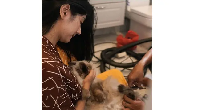 Penyayang Binatang, Ini 7 Potret Fanny Ghassani dengan Kucing Kesayangannya