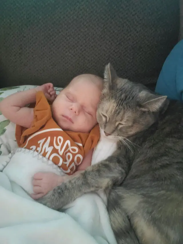 10 Momen Kocak Kucing Jadi Pengasuh Bayi Ini Bikin Tepuk Jidat