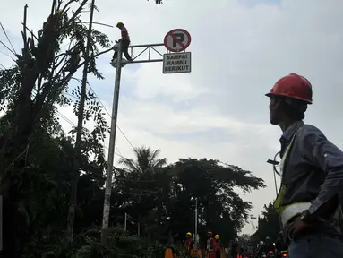 Seorang petugas memperhatikan rekannya yang sedang menebang pohon di sepanjang jalan DI. Panjaitan, Kebon Nanas, Jakarta, Senin (21/3). Penebangan pohon-pohon itu untuk pelebaran jalan terkait pembangunan Jalan Tol Becakayu. (Liputan6.com/Gempur M Surya)