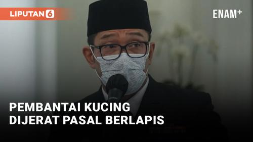VIDEO: Ridwan Kamil: Pembantai Kucing Sudah Ditangani Jajaran TNI