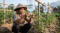 9 Cara Membuat Sistem Irigasi Tetes dari Galon Bekas Agar Tanaman Tidak Cepat Layu