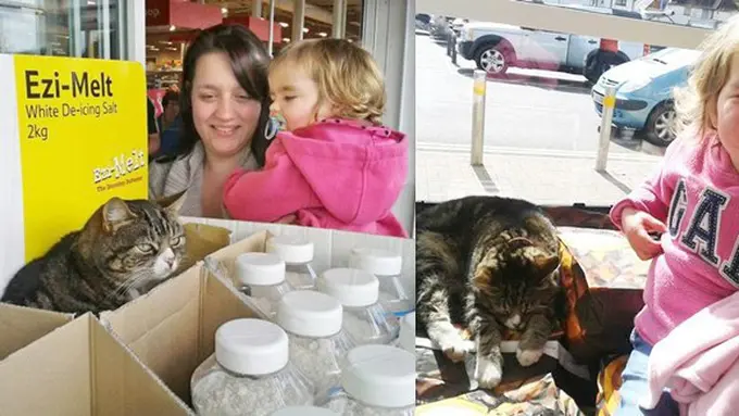 foto: copyright dailymail.co.uk