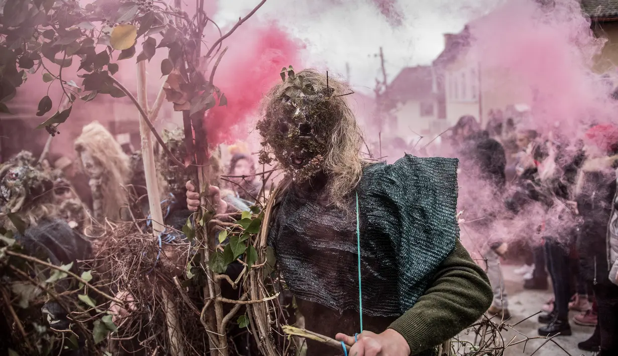 Peserta mengenakan kostum menyerupai manusia pohon saat mengikuti karnaval di desa Vevcani, Macedonia (13/1). (AFP Photo/Robert Atanasovski)