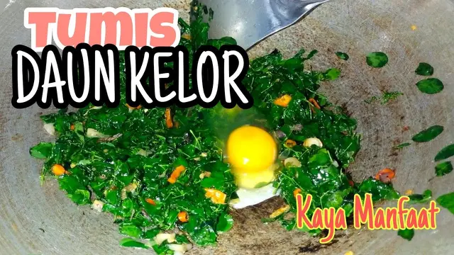 tumis daun kelor