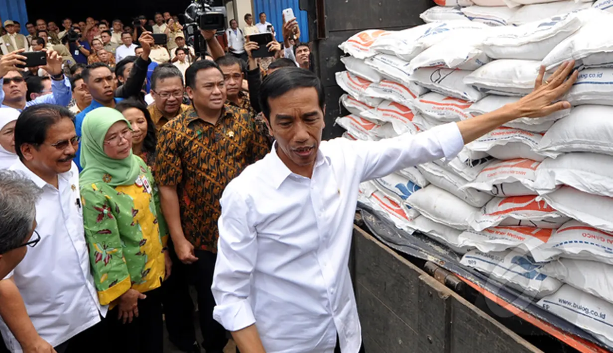 Presiden Joko Widodo meninjau Gudang Beras Bulog, Jakarta, Rabu (25/2/2015). Presiden Jokowi  memerintahkan Bulog menggelontorkan semua stok beras di gudang Bulog agar harga beras di pasaran normal kembali. (Liputan6.com/Faizal Fanani)