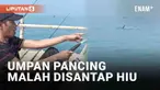 Momen langka sekaligus apes dialami seorang pemancing. Video beredar di media sosial, disebut terjadi di Tanjung Kait, Kabupaten Tangerang. Seorang pemancing kebingungan saat diduga seekor hiu muncul ke permukaan air laut.