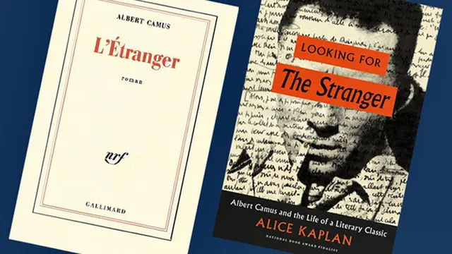Novel The Stranger.