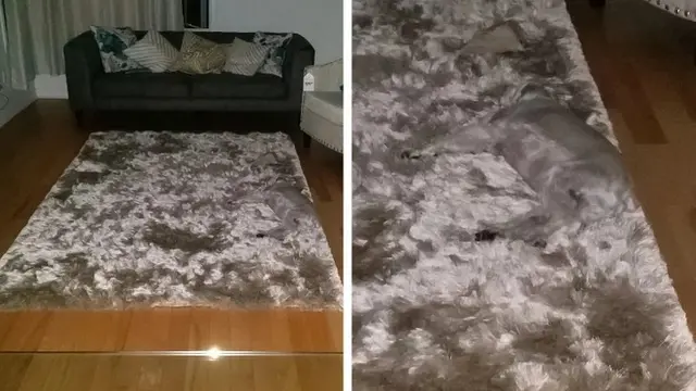 10 Momen Kebetulan saat Tertangkap Kamera Ini Bikin Heran, Harus Lihat Dua Kali