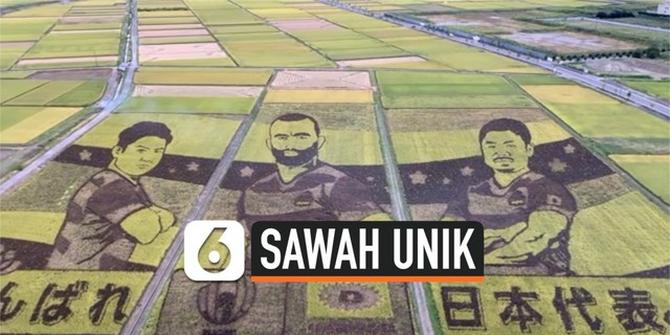 VIDEO: Unik, Sawah di Jepang Berbentuk Pemain Rugby