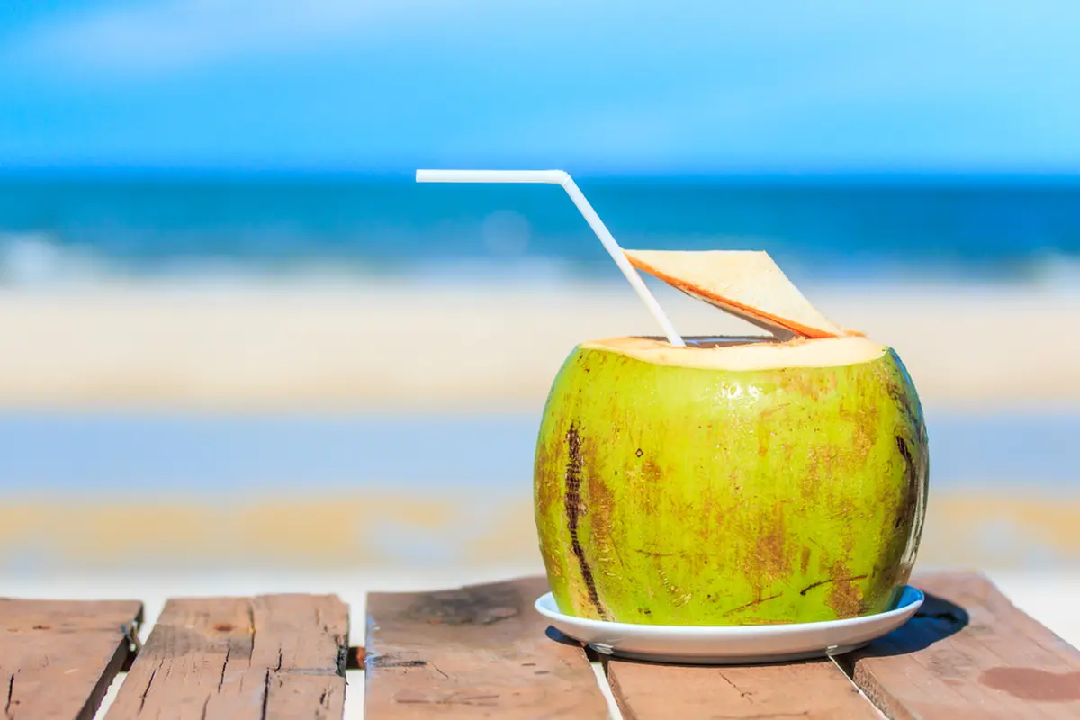 Tak Hanya Baik untuk Kesehatan, Air Kelapa Juga Menunjang Diet