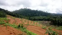 Apa Itu Pembukaan Lahan Tanpa Bakar (PLTB)? Ini Pengertian, Metode, dan Manfaatnya