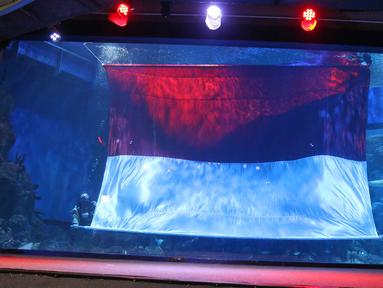 Penyelam melakukan prosesi pengibaran bendera merah putih raksasa di Jakarta Aquarium & Safari (JAQS), Jakarta, Selasa (17/8/2021). Dalam memperingati hari kemerdekaan ke-76 RI, JAQS menyelenggarakan rangkaian Pengibaran Bendera Raksasa. (Liputan6.com/Herman Zakharia)