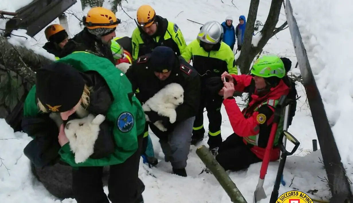 Tiga ekor anak anjing berhasil diselamatkan petugas setempat dari reruntuhan Hotel Rigopiano di Farindola, Italia (23/1). Kemungkinan besar longsoran tersebut akibat gempa mengguncang wilayah tengah Abruzzo sehari sebelumnya. (Handout / CNSAS / AFP)