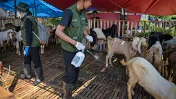 Petugas kesehatan dari Dinas Ketahanan Pangan dan Pertanian menyemprotkan disinfektan di kandang kambing di pasar ternak menjelang Idul Adha atau hari raya kurban bagi umat Muslim, di Surabaya, Jawa Timur, pada Rabu 20 Mei 2026. (JUNI KRISWANTO/AFP)