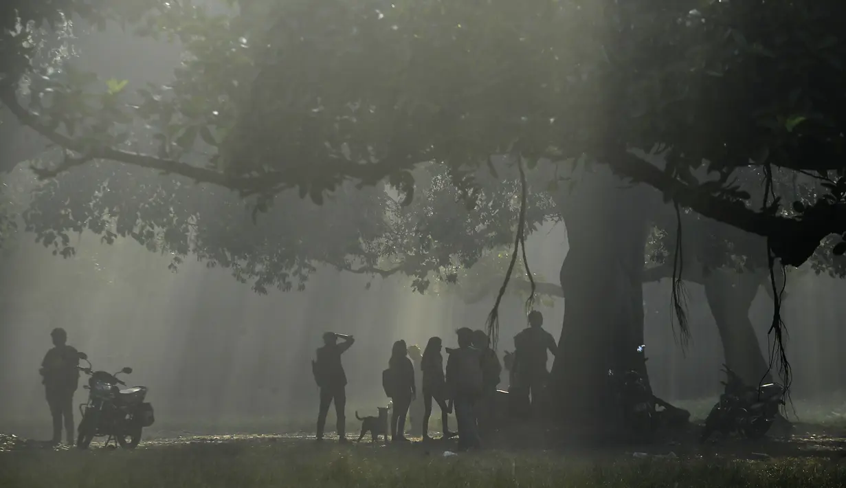 Siswa beristirahat di bawah pohon di pagi berkabut di taman Maidan di Kolkata (29/11/2019). Selama musim dingin, wilayah utara India sering mengalami kabut tebal, menyebabkan penundaan lalu lintas dan mengganggu jadwal penerbangan dan kereta api. (AFP Photo/Dibyangshu Sarkar)