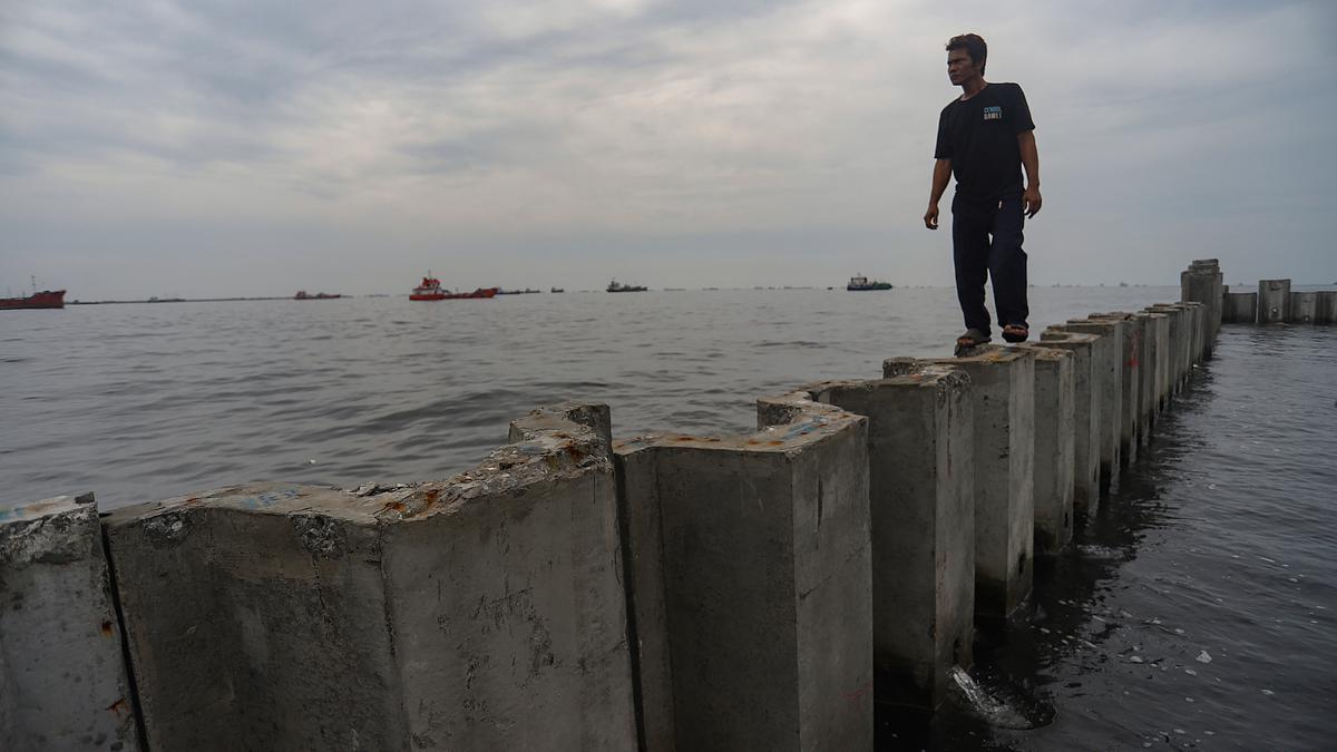 KLH: Pembangunan Pagar Laut Cilincing Sudah Peroleh Persetujuan Lingkungan