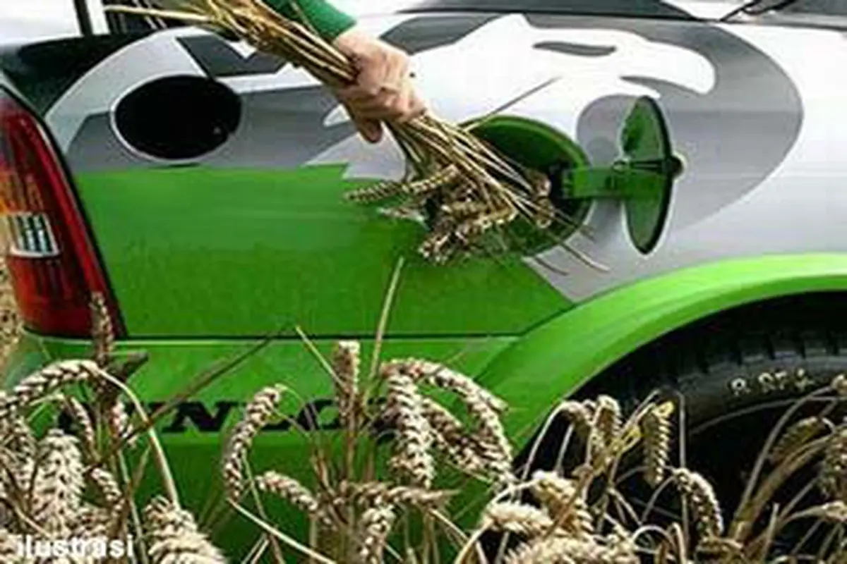 120612dbioful.jpg
