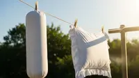 7 Trik Membersihkan Bantal dan Guling Pakai Bahan Alami, Aman untuk Keluarga