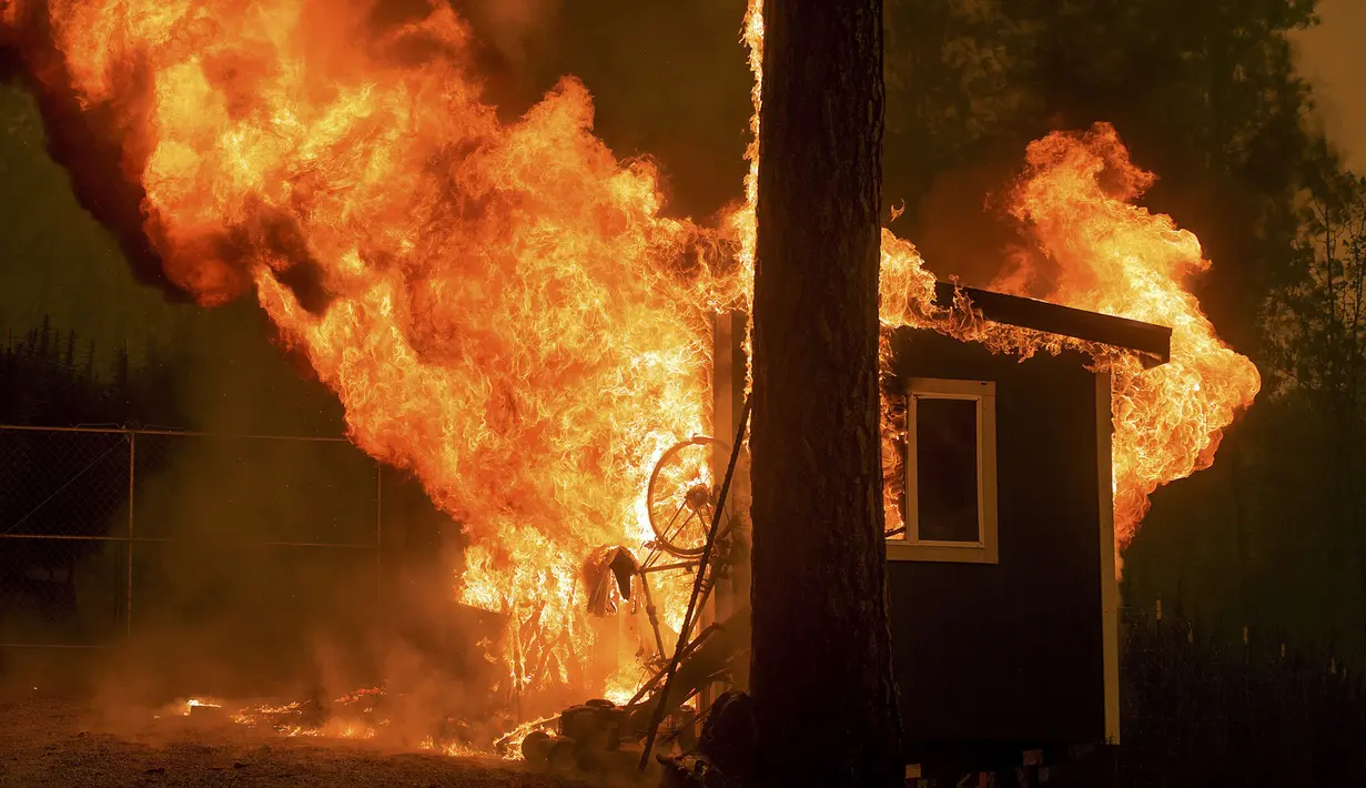 Sebuah gudang terbakar saat kebakaran yang terjadi di dekat Mountain Ranch , Kalifornia, Amerika Serikat, Jumat (11/9/2015). Gubernur Kalifornia, Jerry Brown mengumumkan keadaan darurat untuk wilayah Amador dan Calaveras. (REUTERS/Noah Berger)