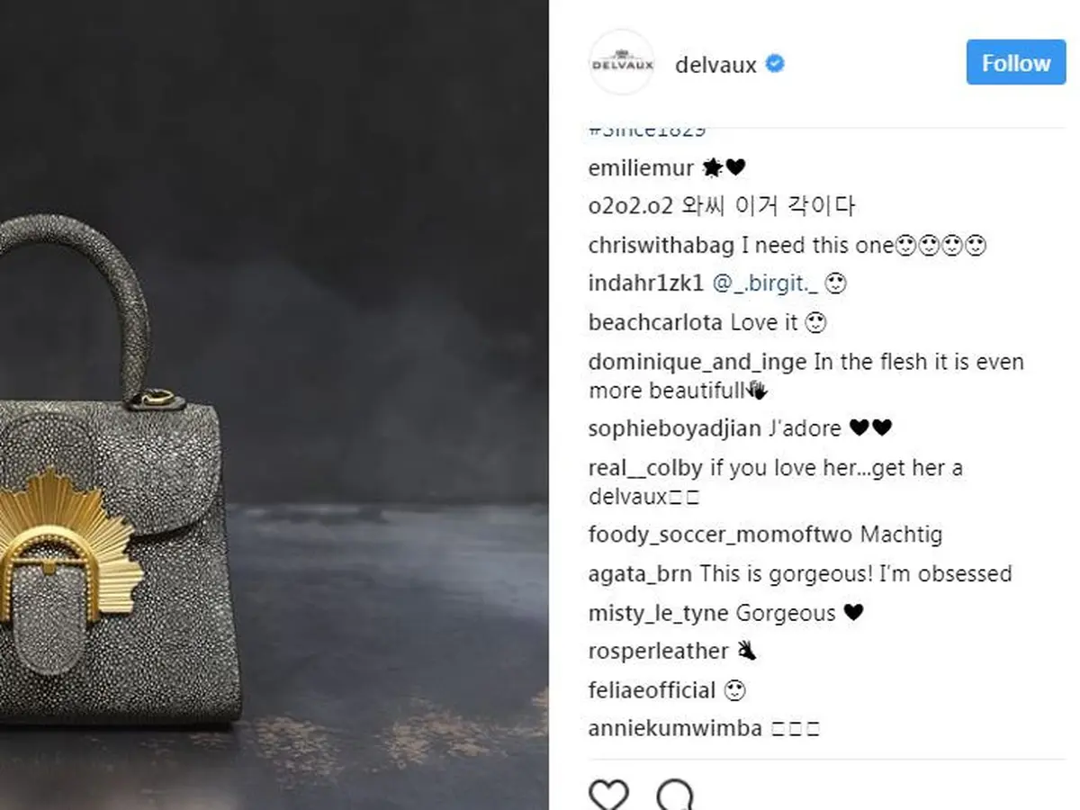 Tas delvaux clearance