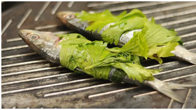 Foto : copyright wikihow.com