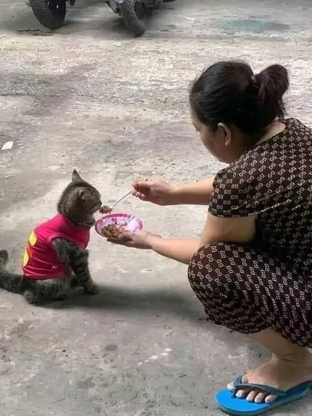 10 Potret Nyeleneh Saat Beri Makan Hewan Ini Bikin Tepuk Jidat