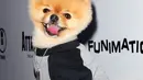 Zaman dahulu, orang-orang kuno mencampurkan madu dengan kotoran anjing/hyena yang telah menjadi putih karena paparan udara untuk menyembuhkan radang tenggorokan.  (Rachel Murray/Getty Images for FUNimation Entertainment/AFP)