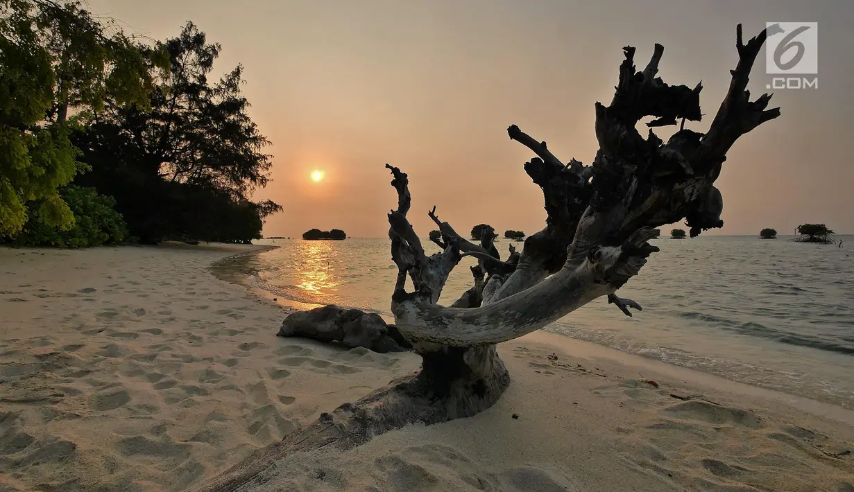 Suasana matahari tenggelam (sunset) di Pulau Pari, Kepulauan Seribu, Jakarta pada 3 Agustus 2019. Pulau Pari merupakan bagian dari 12 pulau dari Kelurahan Pulau Pari dengan potensi keindahan pantai dan alamnya. (Liputan6.com/Herman Zakharia)