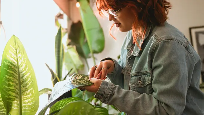 3 Zodiak yang Dikenal Paling Mandiri dan Tidak Suka Bergantung pada Orang Lain