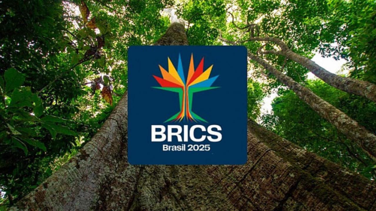 BRICS 2025