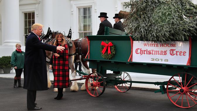 Presiden Donald Trump bersama First Lady AS, Melania Trump menerima pohon Natal resmi Gedung Putih di halaman Utara Gedung Putih, Washington, Senin (19/11). Pohon Natal tersebut diantar dengan kereta kuda. (AP/Manuel Balce Ceneta)