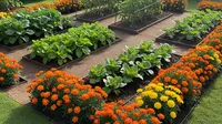 7 Ide Konsep Pekarangan Rumah yang Produktif dan Estetik, Cocok untuk Rumah Kecil di Kampung