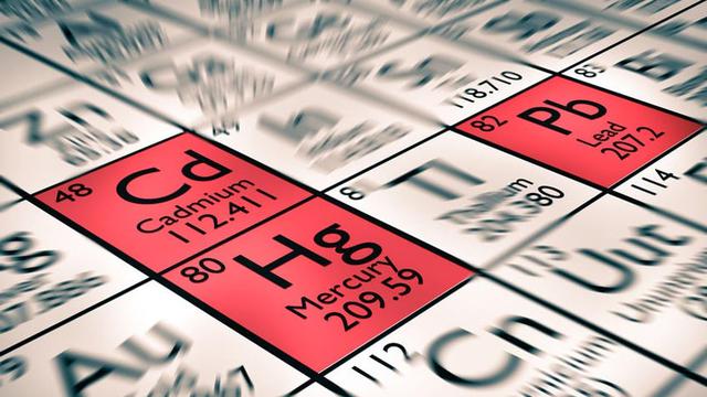 Penyebab Penyakit Minamata