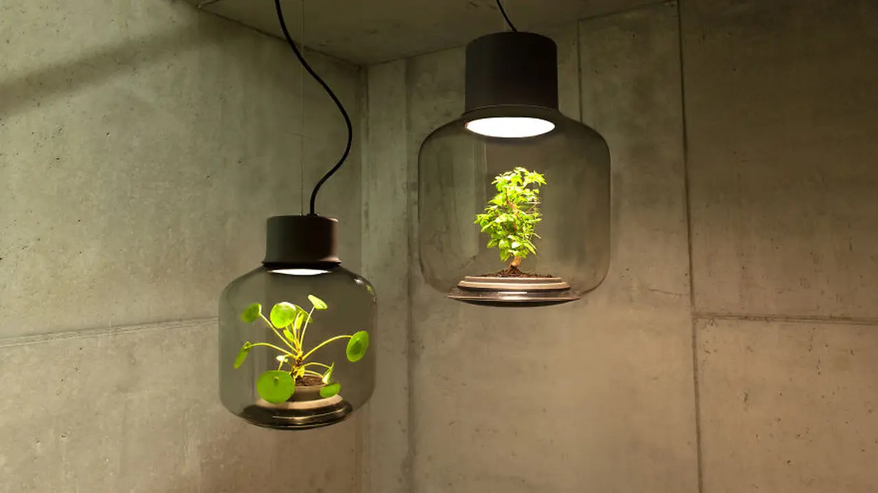 Tak Cuma Menerangi, Lampu Ini Bisa Jadi Pot Tanaman di Ruangan