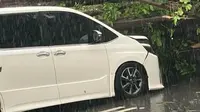 Mobil Erros Djarot Tertimpa Pohon Tumbang