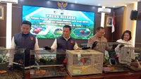 Burung Kasturi Kepala Hitam Diperdagangkan, Satwa Langka Papua dalam Ancaman