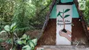 Mangrove juga bisa menyerap karbondioksida lima kali lebih banyak dibanding hutan tropis di dataran tinggi. (Liputan6.com/Herman Zakharia)