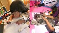 Anak belajar bareng kucing (Sumber: Instagram/twitkocheng)