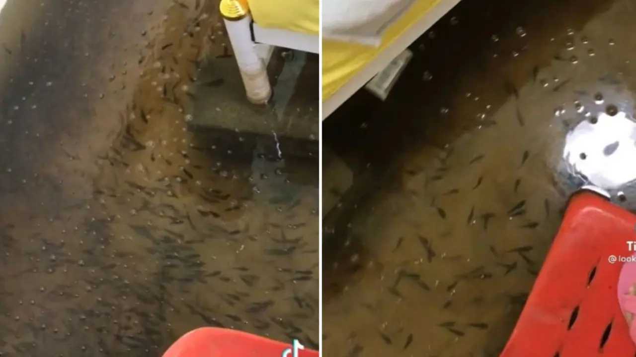 Gara-Gara Banjir, Viral Wanita Kaget Kamarnya Berubah Jadi Akuarium Penuh Ikan