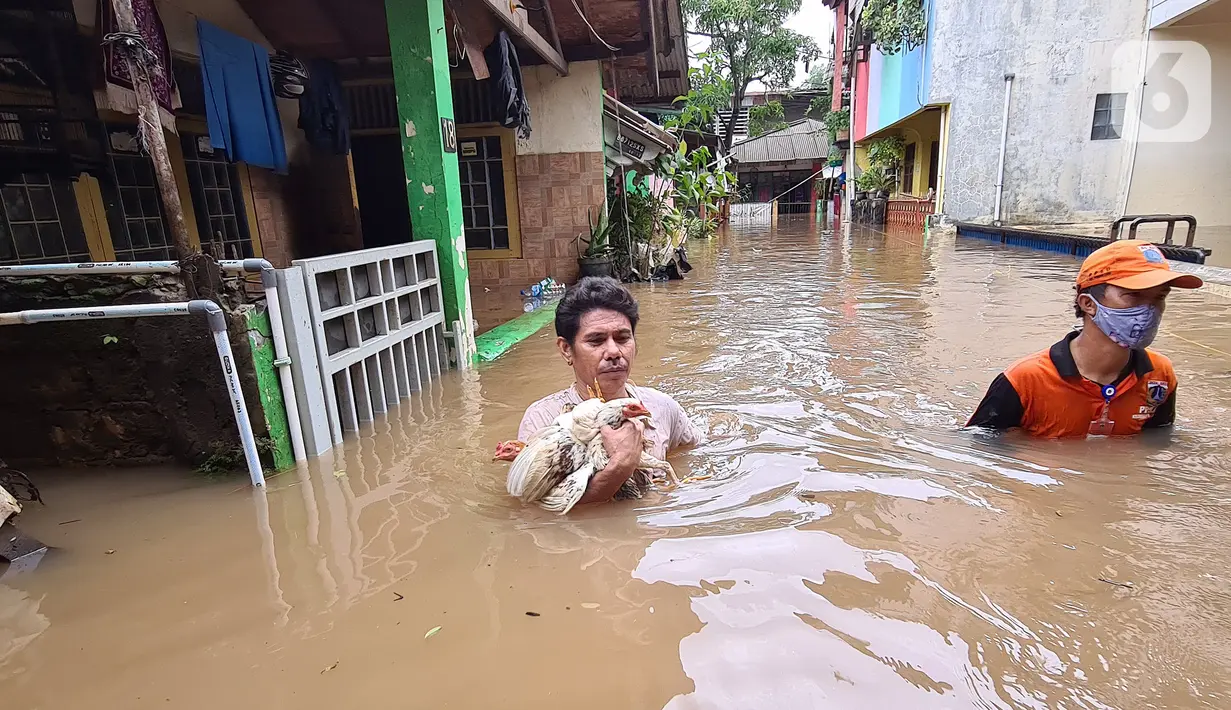 Warga menyelamatkan ayam peliharaannya saat banjir melanda kawasan pemukiman Jalan Bango, Pondok Labu, Jakarta Selatan, Sabtu (20/2/2021). Banjir akibat luapan Kali Krukut yang melanda sejak semalam menyebabkan pemukiman tergenang hingga dua meter. (merdeka.com/Arie Basuki)