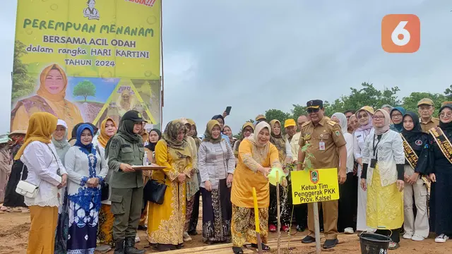 Perempuan Menanam Paman Birin Acil Odah Kalsel Banjarbaru