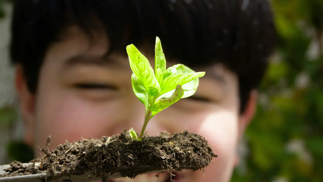 Gardening