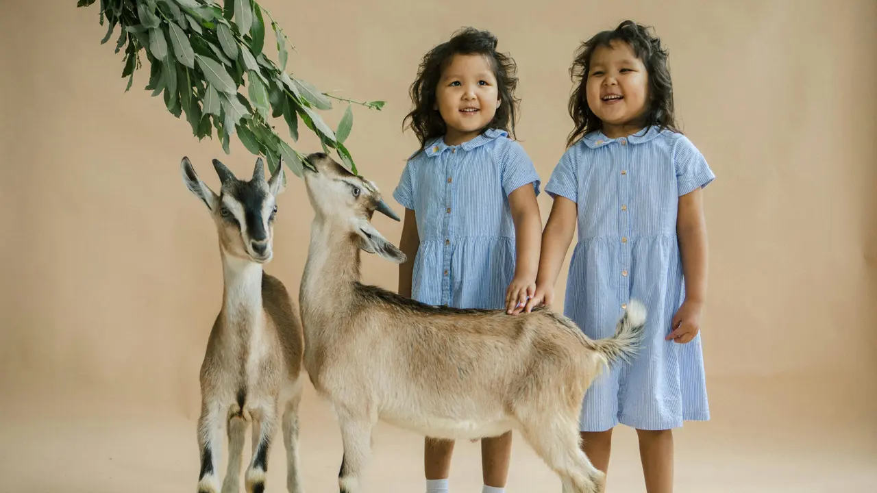 5 Fakta Menarik Tentang Anak Kembar Yang Jarang Diketahui Oleh Banyak Orang!