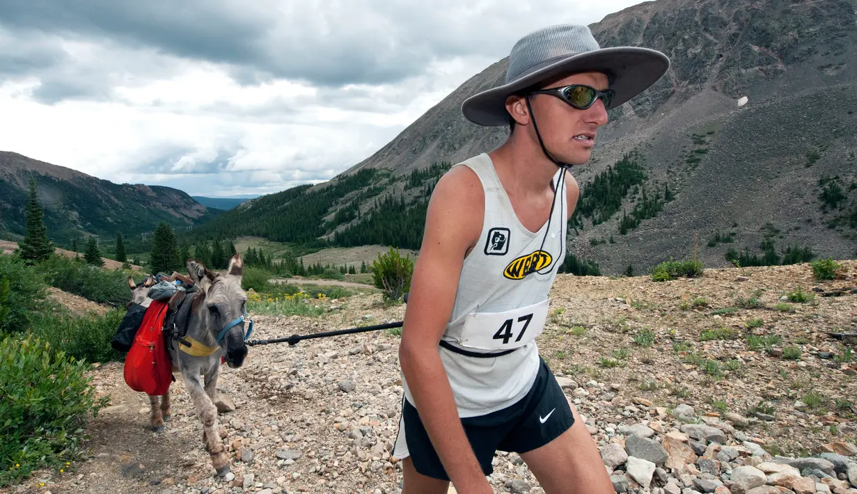 Peserta menarik keledainya menaiki bukit saat mengikuti Pack Burro Race ke-69 di Fairplay, Colorado (30/7). Pack Burro Racing adalah olahraga asli negara bagian Colorado yang berakar kuat dari para penambang. (AFP Photo/Jason Connolly)
