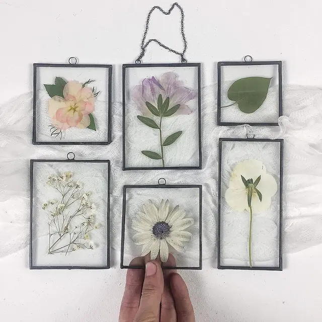 Wanita Ini Gemar Buat Bunga Herbarium, 7 Hasilnya Curi Perhatian