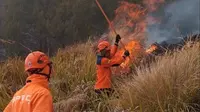 BNPB Evaluasi Penanganan Karhutla Usai Enam Petugas Gugur