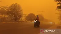 Cerita Warga Palangka Raya Berkendara di Tengah Asap Pekat Kebakaran