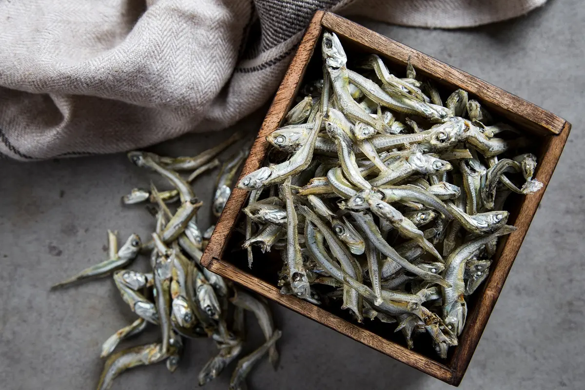 ikan teri