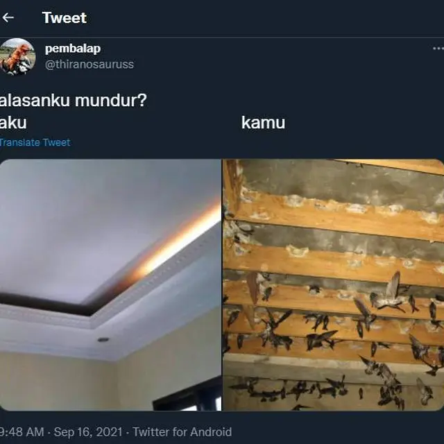Beda Kasta, Ini 7 Cutian Nyeleneh Alasan Mundur Kejar Gebetan Ini Bikin Sesak