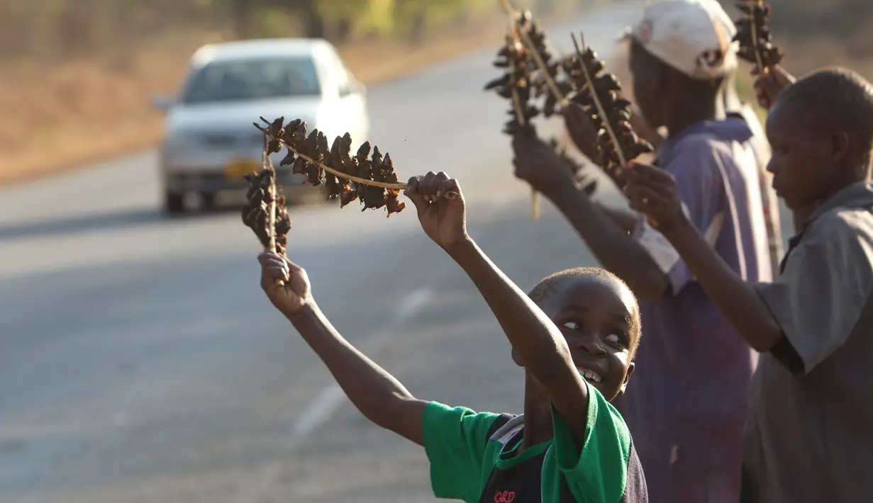 Sejumlah anak menjual daging tikus yang sudah diolah menjadi makanan di Chidza, Zimbabwe (23/9). Hewan kecil yang ditangkap di ladang jagung ini biasanya dipanggang lalu disajikan sebagai makanan oleh warga setempat. (AP Photo/Tsvangirayi Mukwazhi)